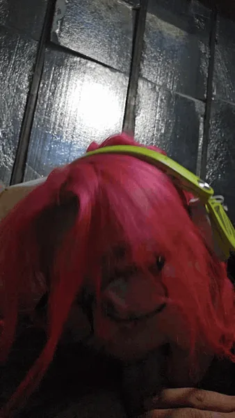 she likes to be abused listening to her music